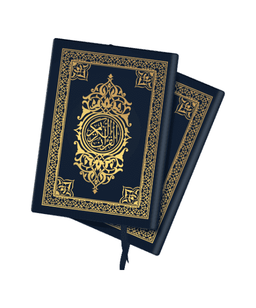 mealli-tüm-sure-oku